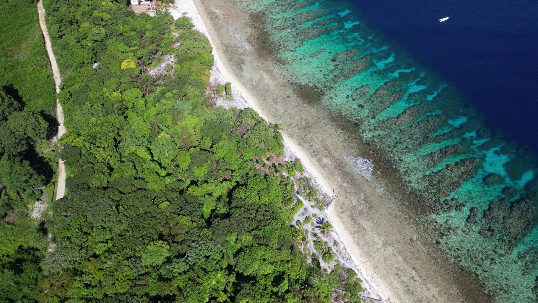 Is This the Beginning of Utila's Next Boom?